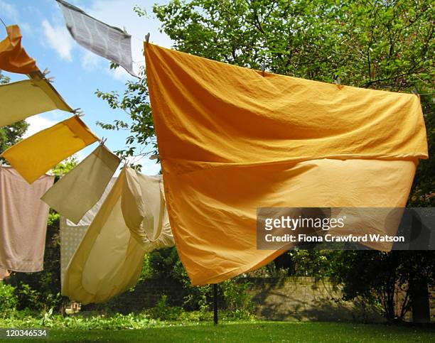 yellow sheet of clothes line blowing in wind - sheet bedding stock-fotos und bilder