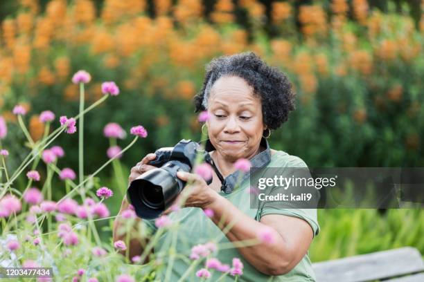 senior afro-amerikanerin fotografiert blumen - hobby photographer stock-fotos und bilder