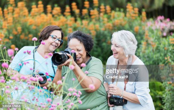 drei seniorinnen fotografieren im garten - adult woman garden flower stock-fotos und bilder