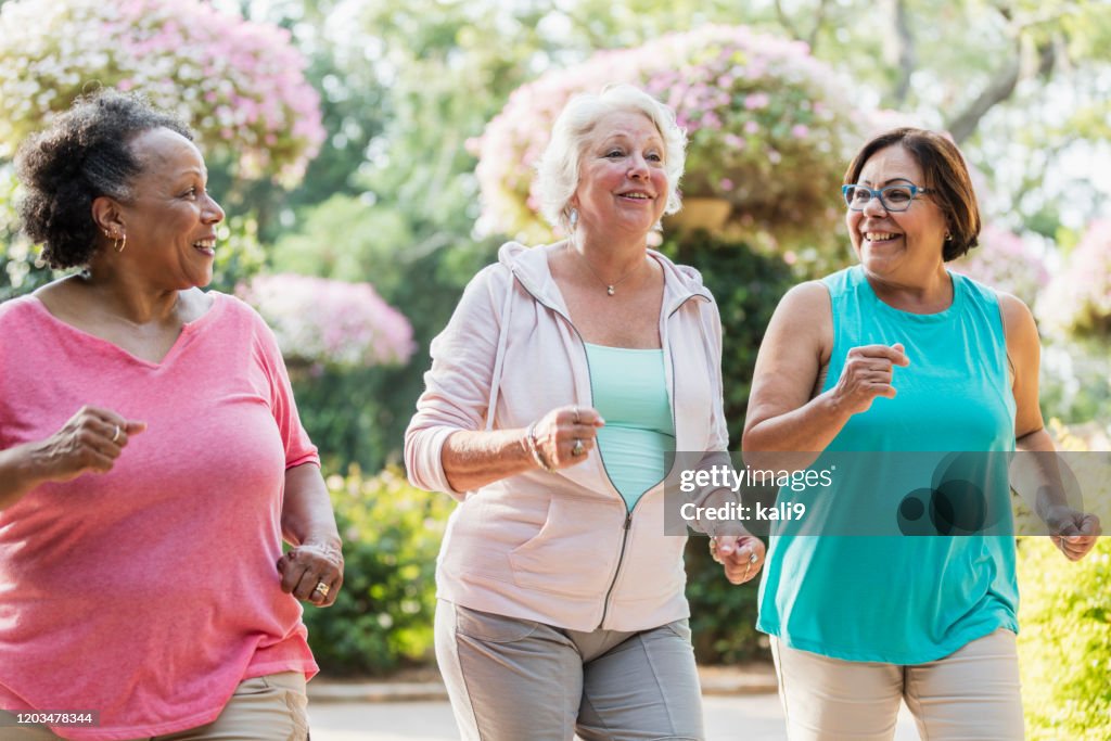 Multi-ethnic senior women exercising together