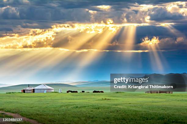 landscape of nature of mongolia. - independent mongolia stock-fotos und bilder