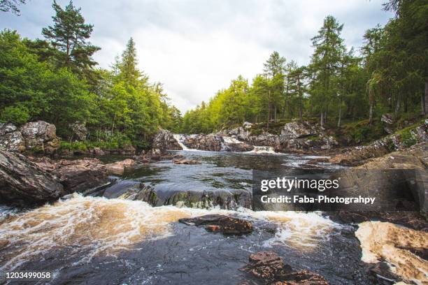 rapids - river rapids stock pictures, royalty-free photos & images