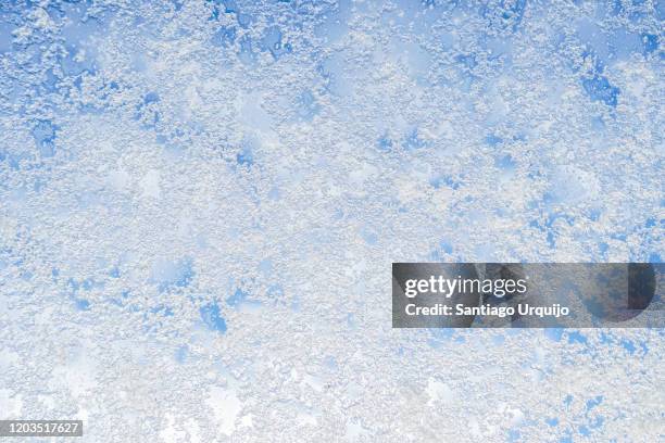 snow on a window - geada imagens e fotografias de stock