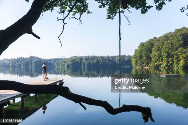calm and beautiful lake with jetty, liana and diving platform. summer in bavaria, germany - schaukel frau stock-fotos und bilder