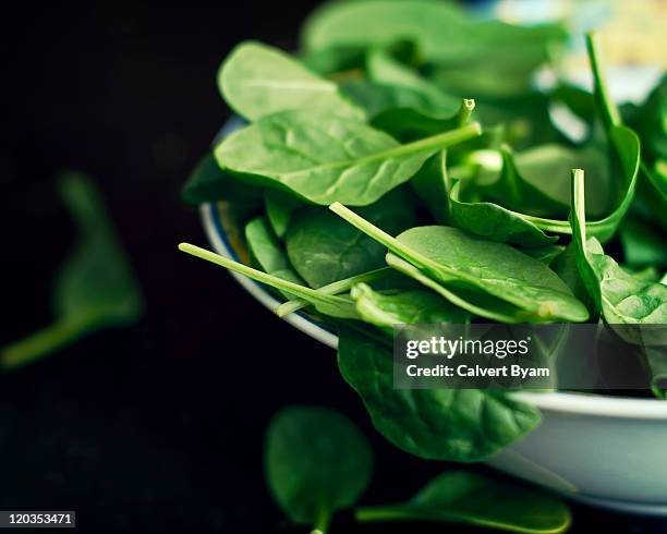 spinach salad in bowl - spinach 個照片及圖片檔