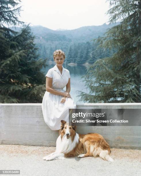 June Lockhart, US actress, sitting on a wall with a Rough Collie dog laying and her feet in a publicity portrait issued for the US television series,...