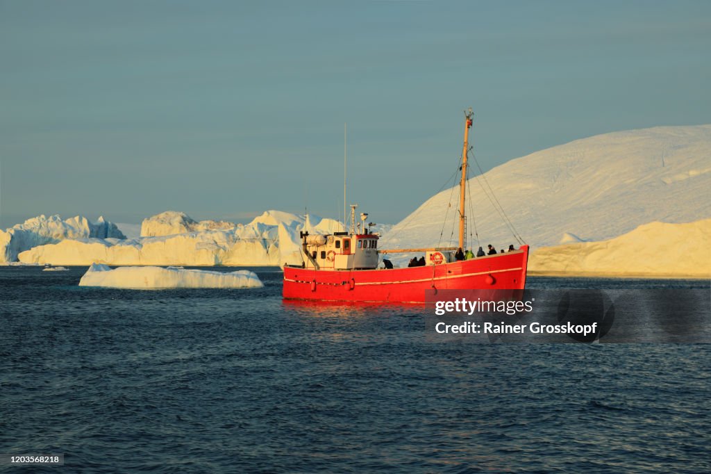 A red ship passing some icebergs in the Icefjord in the warm light of the midnight sun