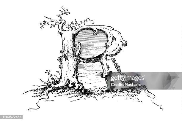 Lettr R In Roots Image 184 Ornate Letter R Stock Photos, High-Res Pictures, and Images - Getty ...