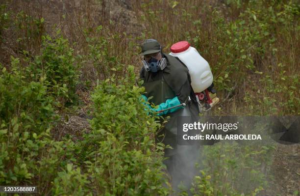 Man sprays coca plants with herbicide at an illegal coca crop in Tumaco, Narino Department, Colombia, on February 26, 2020. - Colombia's Defense...