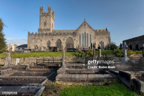 st.mary's cathedral, limerick city, ireland - limerick city fotografías e imágenes de stock