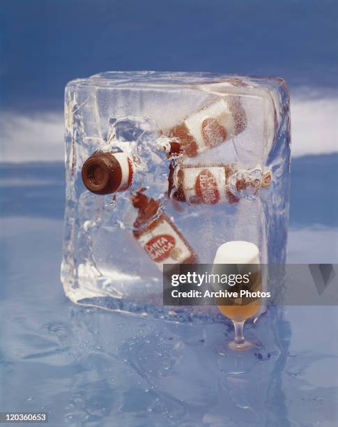 Beer bottle frozen inside ice cube