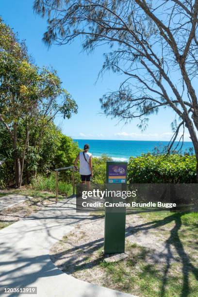 rainbow beach, queensland, australie - rainbow beach australia photos et images de collection