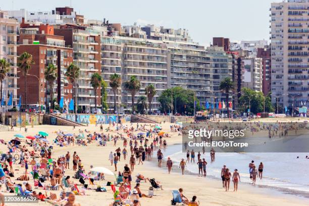 view of montevideo's skyline and pocitos beach in summer, montevideo, uruguay - montevideo uruguay stock pictures, royalty-free photos & images
