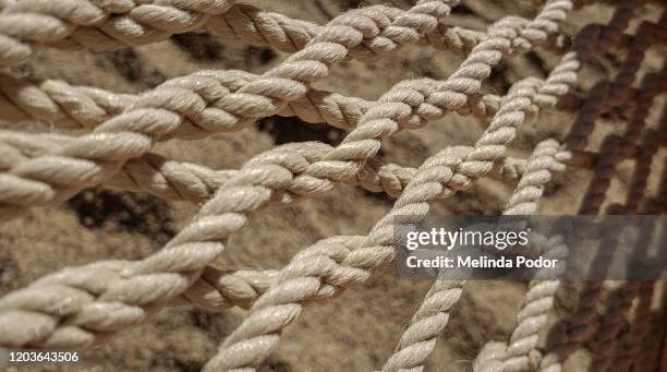 rope hammock close-up - veiligheidsnet stockfoto's en -beelden