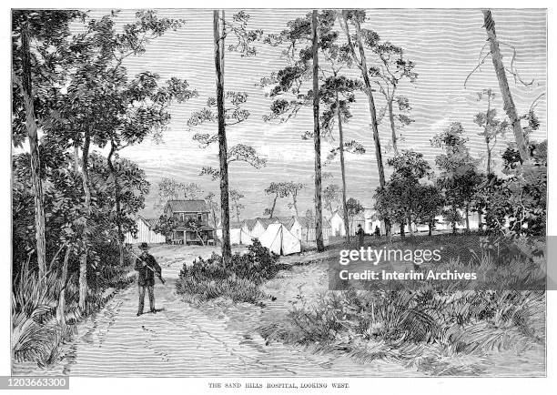 Illustration, looking west, as a guard stands across the path leading to Sand Hills Hospital near Jacksonville, Florida, 1888. Patients from the 1888...