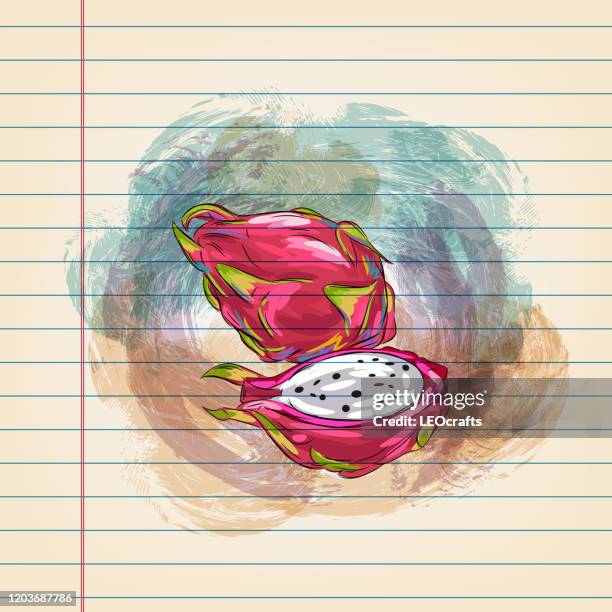 dragon fruit drawing on ruled paper - dragon fruit vector stock illustrations