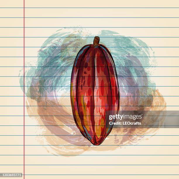 ilustrações de stock, clip art, desenhos animados e ícones de cocoa bean drawing on ruled paper - cacau em pó