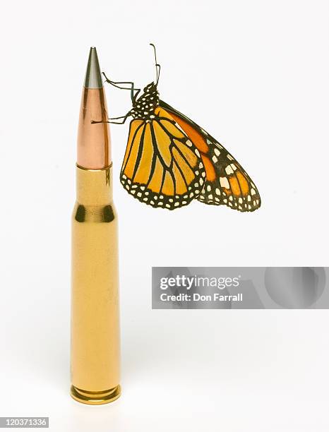 monarch butterfly on round of ammunition - papillon fond blanc photos et images de collection