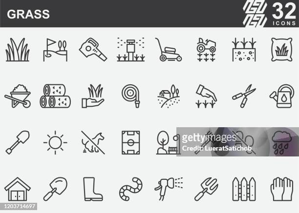 grass line icons - korbblütler stock-grafiken, -clipart, -cartoons und -symbole