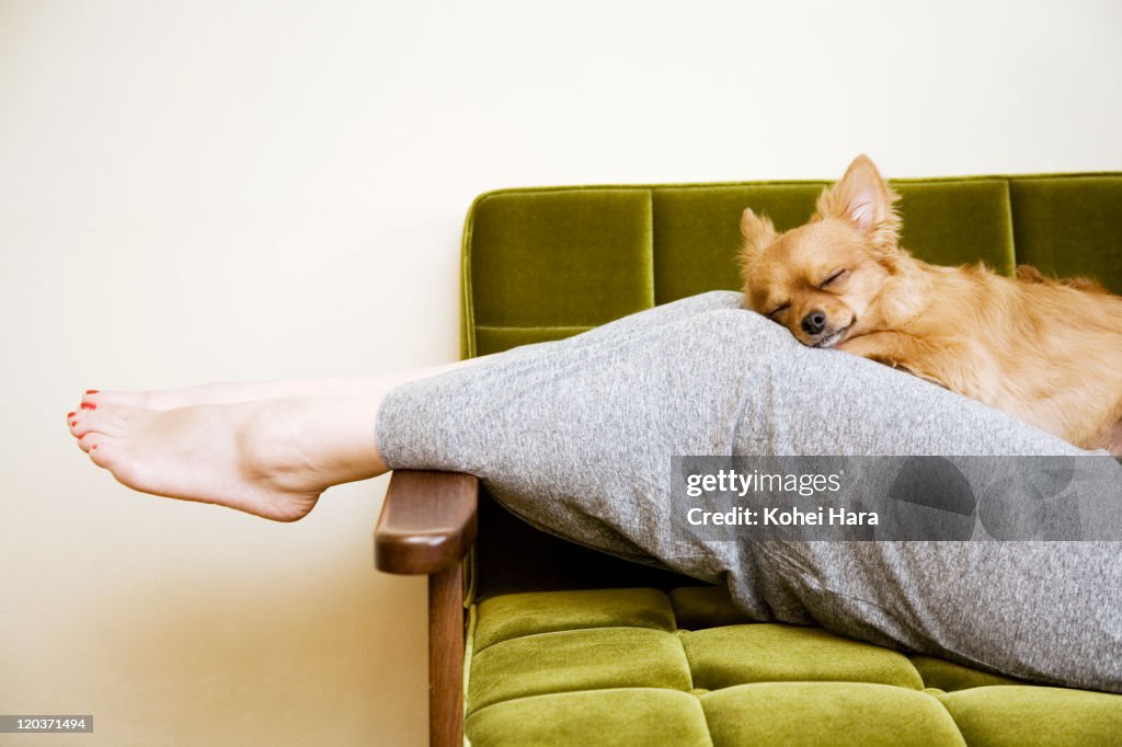 Woman and dog in the room