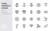 Flower line icon set. Rose, tulip in vase, fruit bouquet, spring blossom, cactus minimal vector illustration Simple outline signs for flowers delivery application. 30x30 Pixel Perfect. Editable Stroke