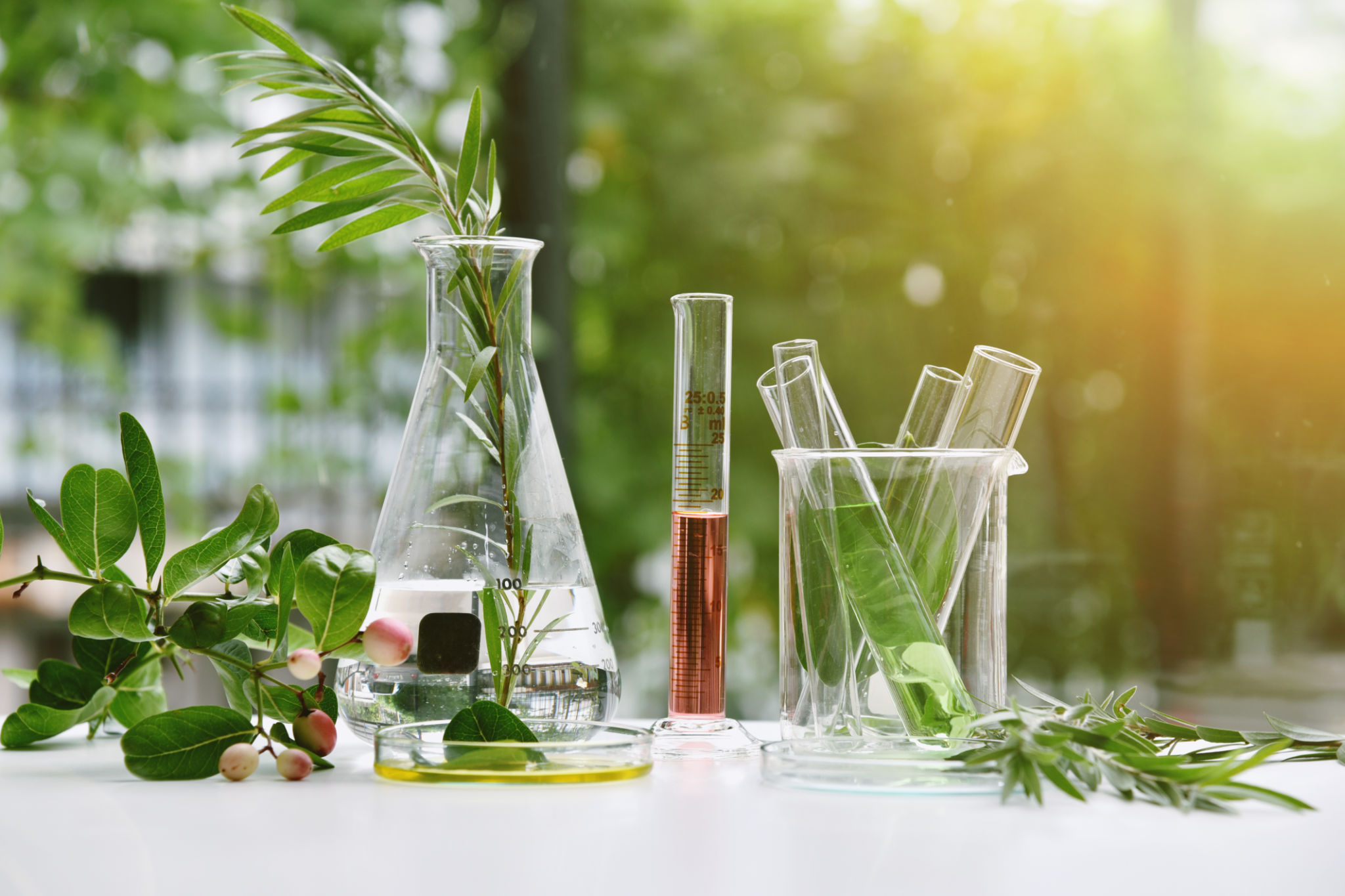 chemical ingredients