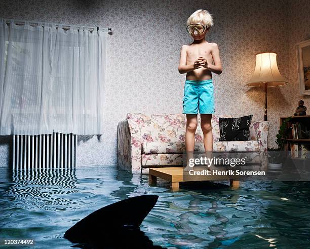 boy on table in flooded room, with shark - flooded room stock-fotos und bilder