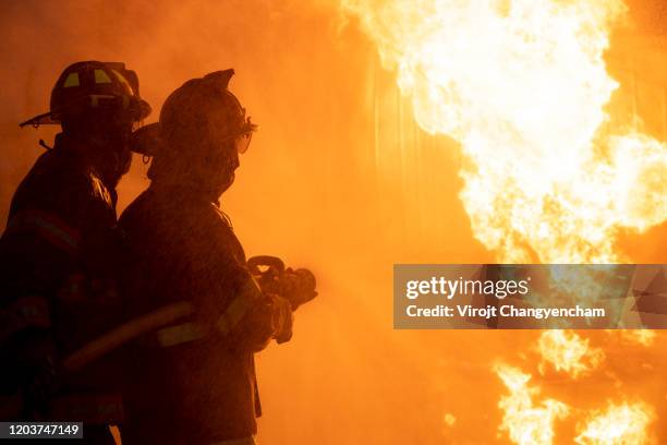 fireman using extinguisher and water from hose for fire fighting at firefight training of insurance group. - flammenmeer stock-fotos und bilder