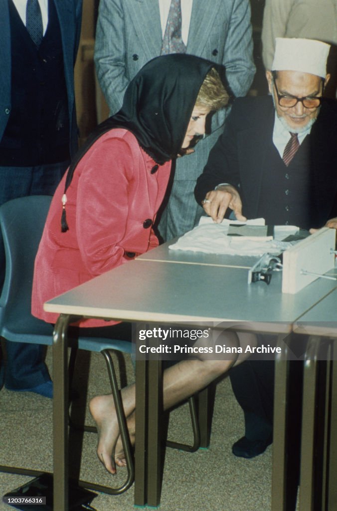 Diana At Ismaili Centre