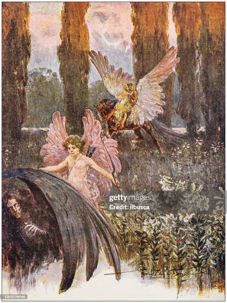 Fable Inspiration Antique Illustration Fantasy Fable High-Res Vector Graphic - Getty Images