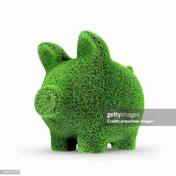 green piggy with gras bank on white - topiary 個照片及圖片檔