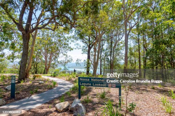 noosa national park, queensland, australia - north queensland stock pictures, royalty-free photos & images