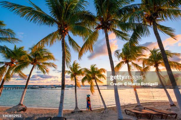 woman admiring the sunset on the caribbean sea, mexico - mexiko stock-fotos und bilder