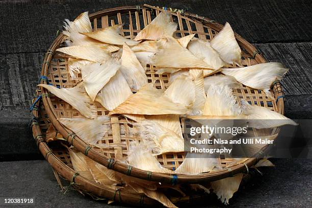 dried shark fins at market in china - animal fin stock pictures, royalty-free photos & images