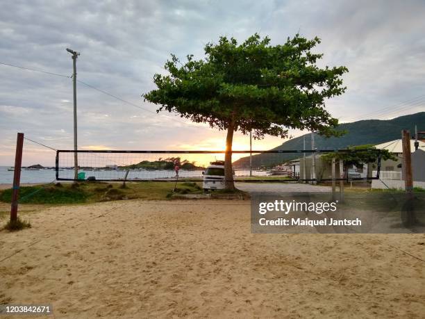 beach volleyball court - beach volleyball team stock pictures, royalty-free photos & images