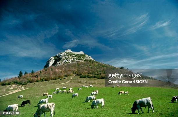 Cathar country: The castle of Montsegur in France - The southern side of the mountain of Montsegur .