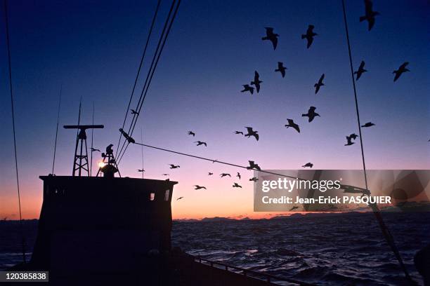 Fishing in Alaska in United States - Sunset on a crab boat fishing for king crab, Bering Sea.