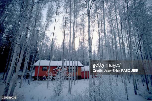 The cold in Alaska, United States - House in the forest.