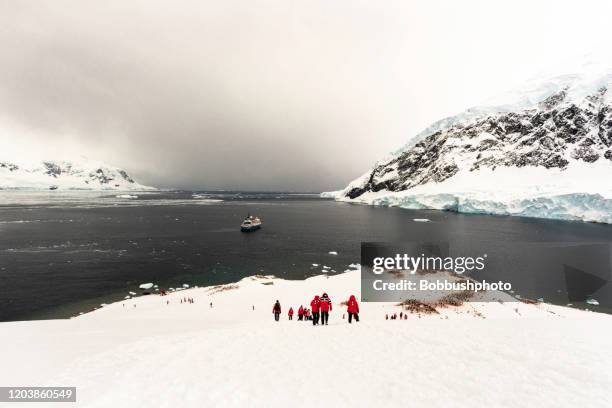 boot im hafen von neko, andvord bay, antarktische halbinsel vor anker - antarctic peninsula stock-fotos und bilder