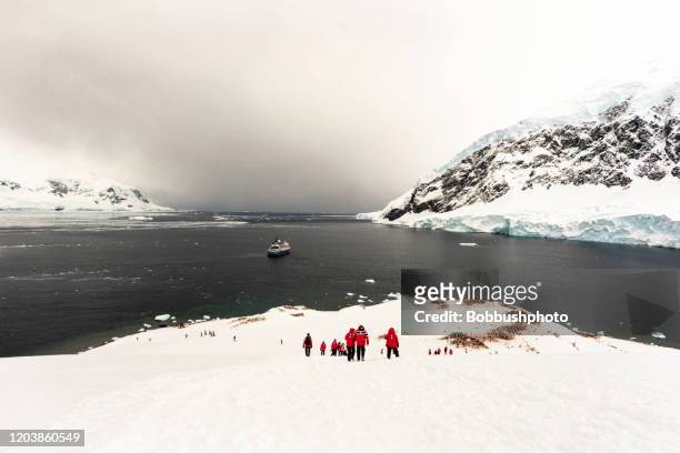 barco anclado en el puerto de neko, en la bahía de andvord, en la península antártica - península antártica fotografías e imágenes de stock