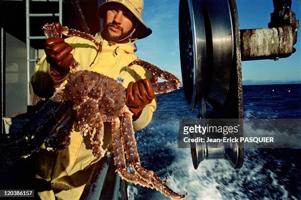 Fishing in Alaska in United States - Fishing king crab, Bering Sea.