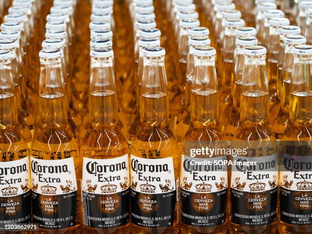 Bottles of Corona beer on a shelf in a store.