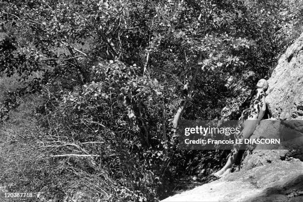 Improbable trees in Drome, France - A man nud with shadows of leaves on his body, Drome department of France.