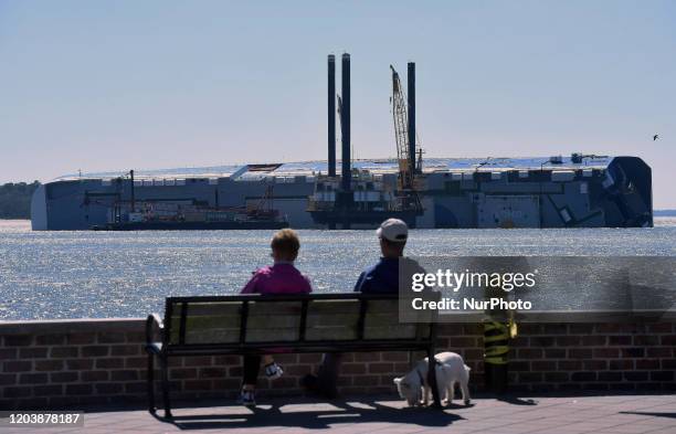 February 27, 2020 - St. Simons Island, Georgia, United States - A couple with a dog observe the Golden Ray cargo ship from waterfront on February 27,...