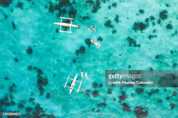aerial view of tourists swimming with turtle, philippines - bohol imagens e fotografias de stock