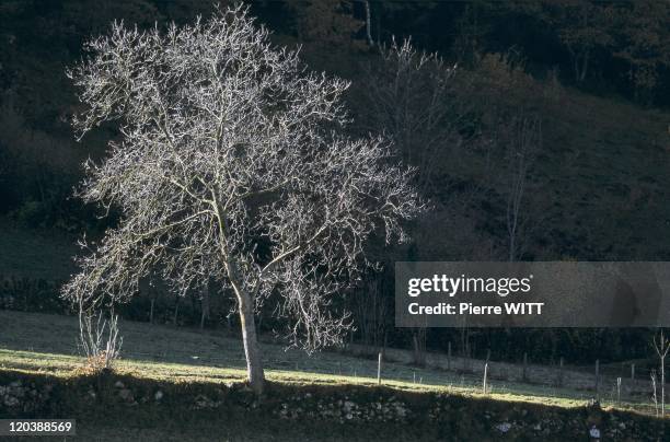 Blague valley, Ariege, Pyrenees, France - At the foot of the summit of Saint Catherine.