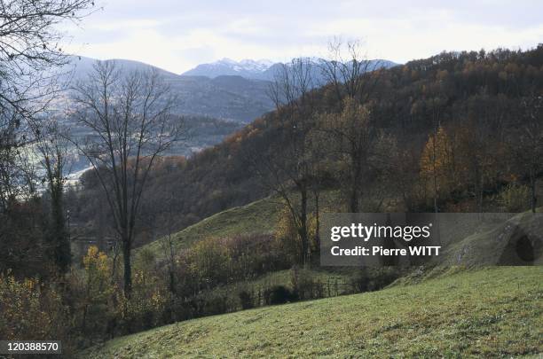 Blague valley, Ariege, Pyrenees, France - Grazing at the foot of Agert.