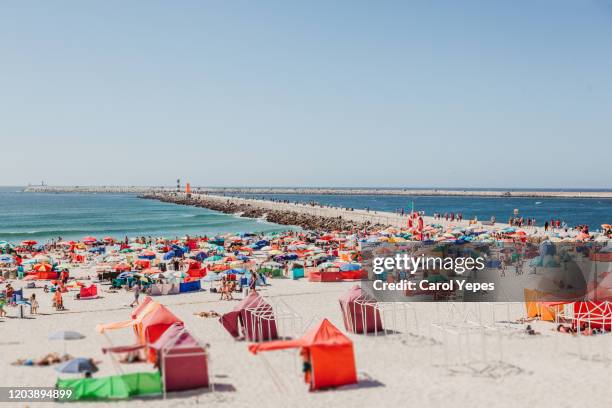 rows of beach parasols in portugal - distrikt aveiro stock-fotos und bilder