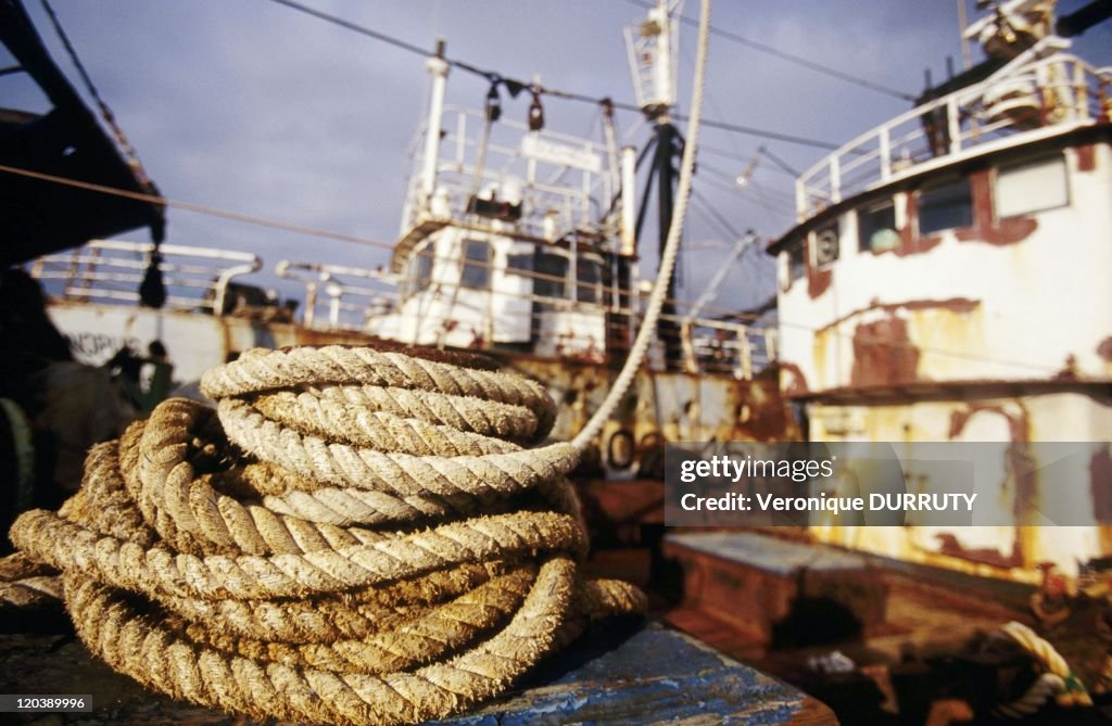 Maputo' Harbor In Maputo , Mozambique, Africa -
