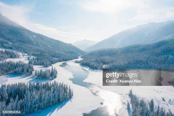 in the sunny winter, the river flows through the forest - montagnes altaï photos et images de collection